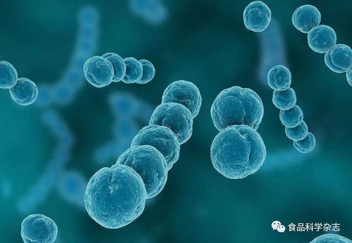 基于細胞膜損傷的蔗糖月桂酸酯對金黃色葡萄球菌的作用機制