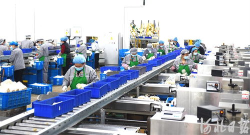 河北望都 智慧農業促增收