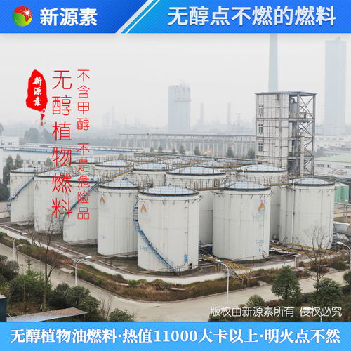 熱門項目創業生物柴油蒸包爐