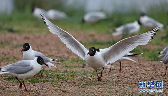 濟(jì)南大眾網(wǎng) 大眾網(wǎng)濟(jì)南站 濟(jì)南網(wǎng)友生活圈,濟(jì)南新聞,濟(jì)南汽車,濟(jì)南房產(chǎn),濟(jì)南旅游,濟(jì)南天氣,濟(jì)南地圖