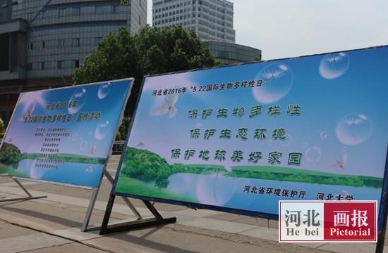 我省組織開展&ldquo;國際生物多樣性日&rdquo;主題宣傳活動