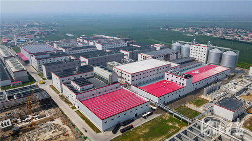 河北寧晉 生物大健康產業園助力高質量發展