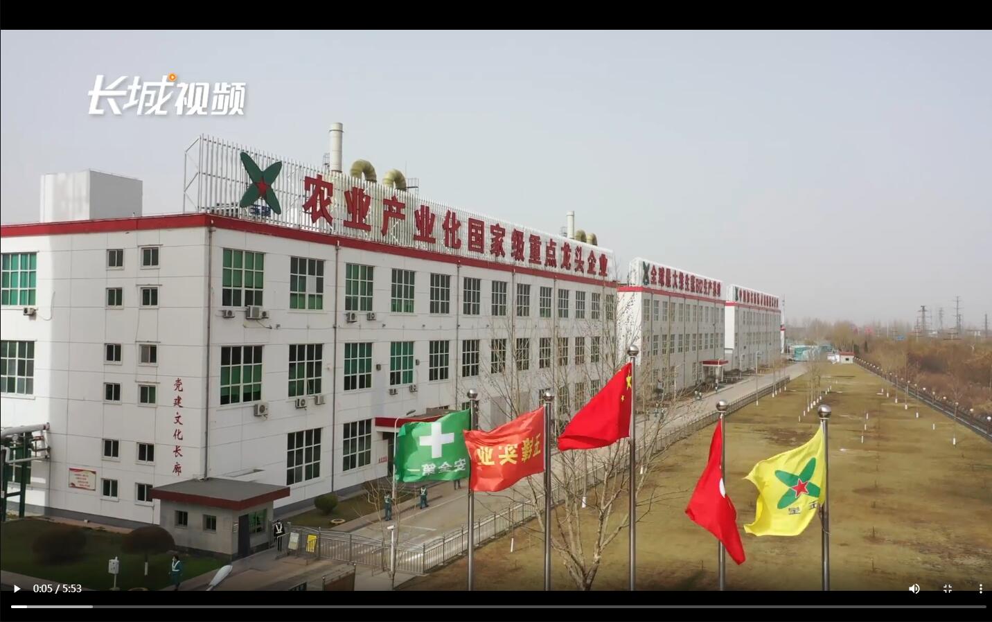 位于寧晉縣的河北玉鋒大健康生物產業園內,玉鋒實業集團副總.