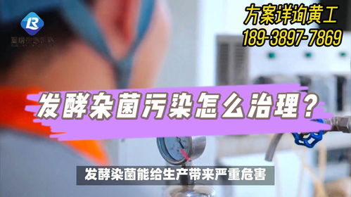 河北生物發(fā)酵企業(yè)車間雜菌污染解決方案 新型發(fā)酵常溫滅菌技術