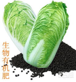 【河北源海有機(jī)肥在線咨詢,吳忠生物有機(jī)肥,生物有機(jī)肥用法】_