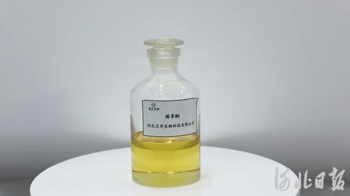 一瓶除草劑,如何實(shí)現(xiàn)全球首次連續(xù)化生產(chǎn) 京津冀協(xié)同創(chuàng)新河北故事